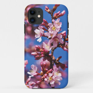 Sakura Japanse Kersenbloesems Blauwe Lucht iPhone 11 Hoesje