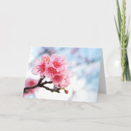 Sakura Kaart
