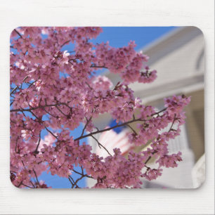 Sakura Kersenbloesem Americana Muismat