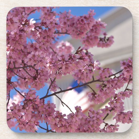 Sakura Kersenbloesem Americana Onderzetter (Voorkant)