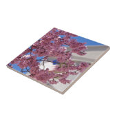 Sakura Kersenbloesem Americana Tegeltje (Zijkant)