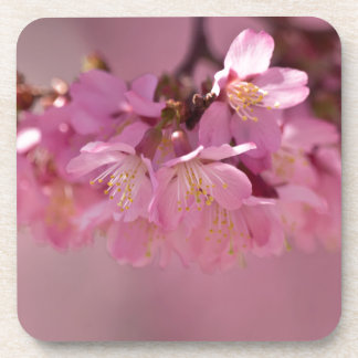 Sakura Kersenbloesem Delicate Roze Boeket Bier Onderzetter
