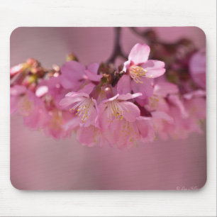 Sakura Kersenbloesem Delicate Roze Boeket Muismat