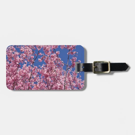 Sakura Kersenbloesem In Het Blauwe Bagagelabel (Voorkant horizontaal)