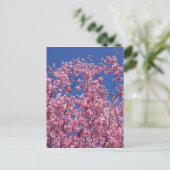 Sakura Kersenbloesem In Het Blauwe Briefkaart (Staand voorkant)