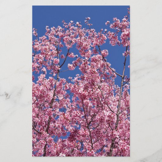 Sakura Kersenbloesem In Het Blauwe Briefpapier (Voorkant)