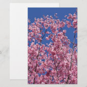 Sakura Kersenbloesem In Het Blauwe Briefpapier (Voorkant / Achterkant)