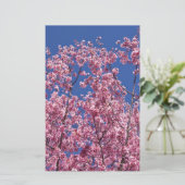 Sakura Kersenbloesem In Het Blauwe Briefpapier (Staand voorkant)