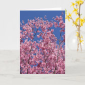 Sakura Kersenbloesem In Het Blauwe Kaart (Gele Bloem)