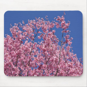 Sakura Kersenbloesem In Het Blauwe Muismat