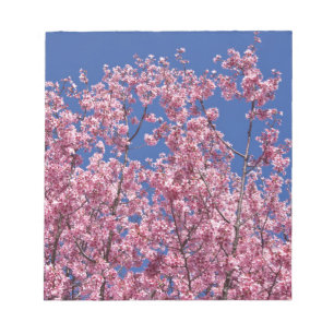 Sakura Kersenbloesem In Het Blauwe Notitieblok