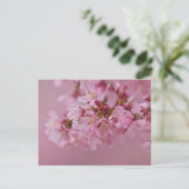 Sakura Kersenbloesem Licht Roze Reflecties Briefkaart (Staand voorkant)