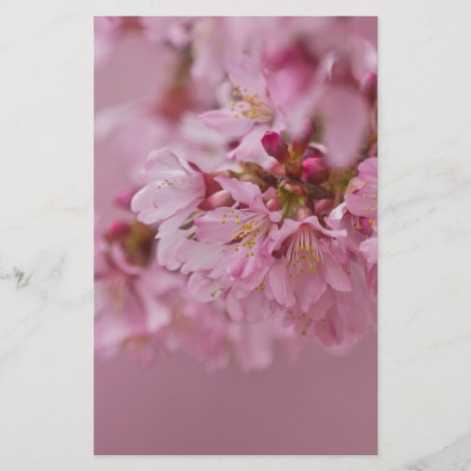 Sakura Kersenbloesem Licht Roze Reflecties Briefpapier (Voorkant)