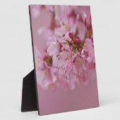 Sakura Kersenbloesem Licht Roze Reflecties Fotoplaat (Zijkant)