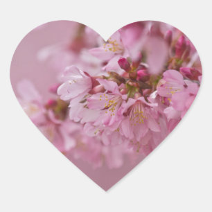 Sakura Kersenbloesem Licht Roze Reflecties Hart Sticker