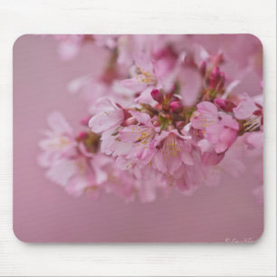 Sakura Kersenbloesem Licht Roze Reflecties Muismat
