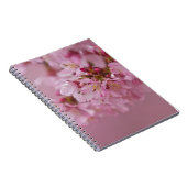 Sakura Kersenbloesem Licht Roze Reflecties Notitieboek (Rechterzijde)