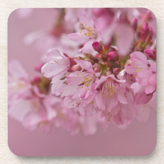 Sakura Kersenbloesem Licht Roze Reflecties Onderzetter (Voorkant)