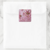 Sakura Kersenbloesem Licht Roze Reflecties Vierkante Sticker (Tas)