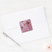 Sakura Kersenbloesem Licht Roze Reflecties Vierkante Sticker (Envelop)