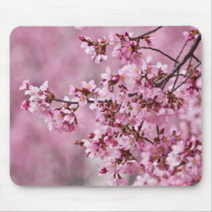 Sakura Kersenbloesem Pastel Roze Lagen Muismat