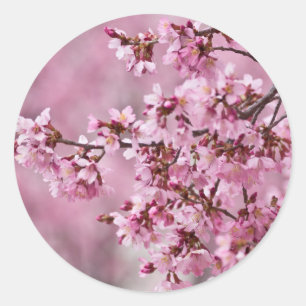 Sakura Kersenbloesem Pastel Roze Lagen Ronde Sticker