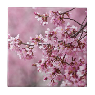 Sakura Kersenbloesem Pastel Roze Lagen Tegeltje