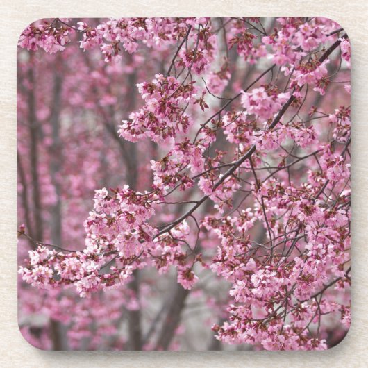 Sakura Kersenbloesem Stromend Roze Bier Onderzetter (Voorkant)
