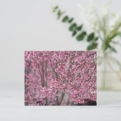 Sakura Kersenbloesem Stromend Roze Briefkaart (Staand voorkant)