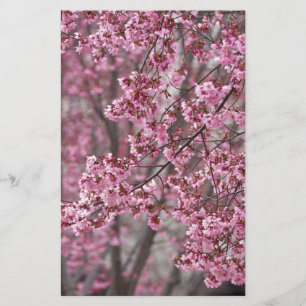 Sakura Kersenbloesem Stromend Roze Briefpapier