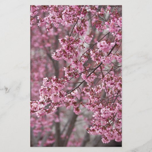 Sakura Kersenbloesem Stromend Roze Briefpapier (Voorkant)