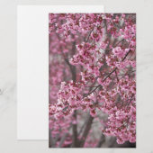 Sakura Kersenbloesem Stromend Roze Briefpapier (Voorkant / Achterkant)