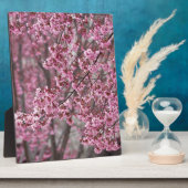 Sakura Kersenbloesem Stromend Roze Fotoplaat (Zijkant)