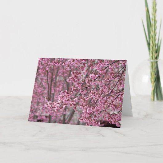 Sakura Kersenbloesem Stromend Roze Kaart (Voorkant)
