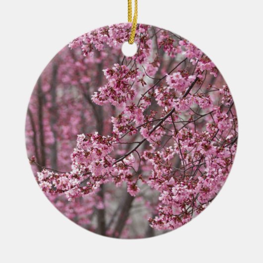 Sakura Kersenbloesem Stromend Roze Keramisch Ornament (Voorkant)
