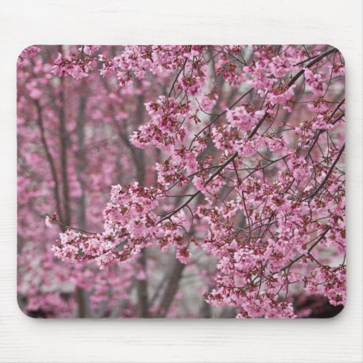 Sakura Kersenbloesem Stromend Roze Muismat (Voorkant)