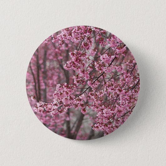 Sakura Kersenbloesem Stromend Roze Ronde Button 5,7 Cm (Voorkant)