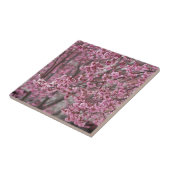 Sakura Kersenbloesem Stromend Roze Tegeltje (Zijkant)