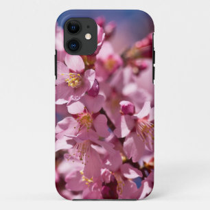 Sakura Kersenbloesems gekust door zonlicht Case-Mate iPhone Case