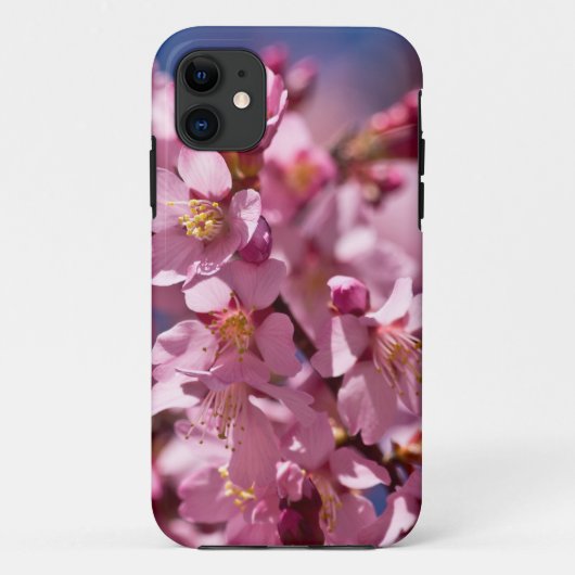 Sakura Kersenbloesems gekust door zonlicht Case-Mate iPhone Case (Achterkant)