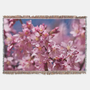Sakura Kersenbloesems gekust door zonlicht Deken