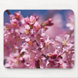 Sakura Kersenbloesems gekust door zonlicht Muismat