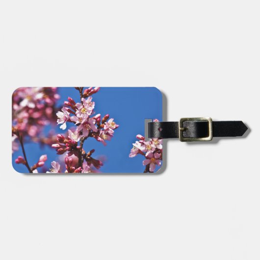 Sakura Kersenbloesems raken blauw Bagagelabel (Voorkant horizontaal)