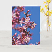 Sakura Kersenbloesems raken blauw Kaart (Gele Bloem)