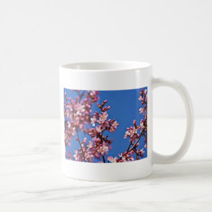 Sakura Kersenbloesems raken blauw Koffiemok