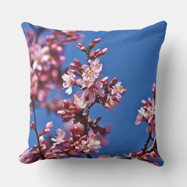 Sakura Kersenbloesems raken blauw Kussen (Voorkant)