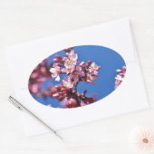Sakura Kersenbloesems raken blauw Ovale Sticker (Envelop)