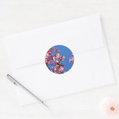 Sakura Kersenbloesems raken blauw Ronde Sticker (Envelop)