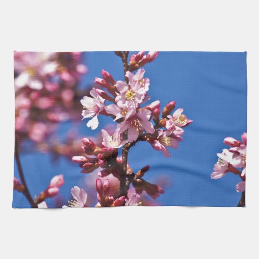 Sakura Kersenbloesems raken blauw Theedoek (Horizontaal)