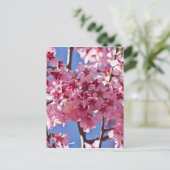 Sakura Kersenbloesems Rode Sterren Briefkaart (Staand voorkant)